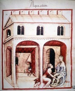 Medizinisches Traktat „Tacuinum sanitatis“ 14. Jahrhundert: die Nutzung von heißem Wasser. B.N, Wien von Unknown artist