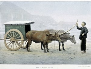 Vietnamesische Kutsche, „Rund um die Welt“, Ende 19. Jahrhundert von Unknown artist