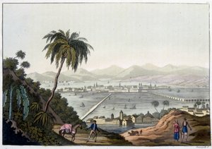 Ansicht von Mexiko-Stadt, Mexiko. In „Le costume ancien et moderne“