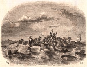 Ansicht einer Gruppe englischer Seeleute, die 1818 vor der Küste von Spitzbergen eine Herde Walrosse jagen