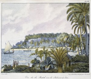 Ansicht der Radak-Inseln des Marshall-Insel-Archipels. von Unknown artist