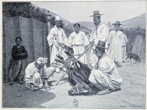 Art, ein Pferd in Korea zu holen - Gravur