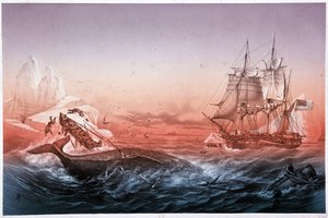 Walfangschiff konnte seine gekenterten Boote nicht retten