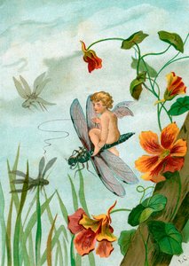 Geflügelte Fee reitet auf einer Libelle in der Nähe von Kapuzinerkresseblumen