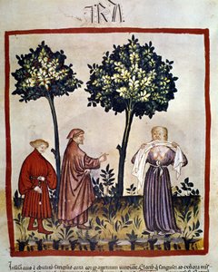 Tollwut oder wütende Person, die ein Tuch zwischen den Zähnen zusammenpresst. Beleuchtung des 14. Jahrhunderts des „Tacuinum Sanitatis“, Wien, Nationalbibliothek