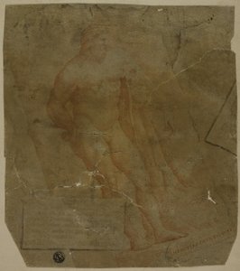 Herkules von Unknown Italian