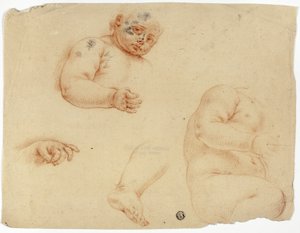 Skizzen eines Kindes: Halbfigur, Torso, Fuß, Hand von Unknown Lombard
