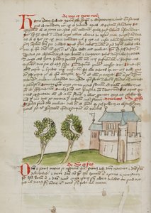 Ein Vogel auf einem Baum in der Nähe einer Stadt von Unknown artist