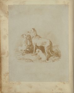 [Eine Gruppe von fünf Hunden] von Unknown artist