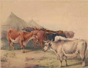 Eine Herde Rinder von Unknown artist