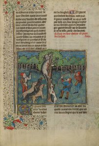Ein Jäger und Hunde greifen eine auf einem Baum sitzende Wildkatze an von Unknown artist