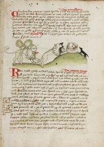 Ein Löwe und ein anderer Löwe mit einer Maus