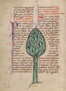Eine Palme von Unknown artist
