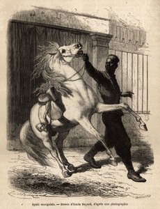 Ein senegalesischer Spahi (Reiter) in Saint-Louis (Saint Louis). Gravur zur Illustration einer Kreuzfahrt an der Küste Afrikas, von Vizeadmiral Fleuriot de Langle, veröffentlicht in „Le tour du monde“ 1872, herausgegeben von Edouard Charton, Edition Hachet