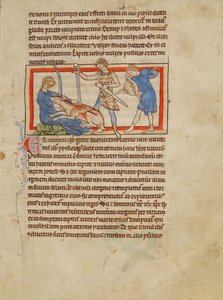 Ein Einhorn