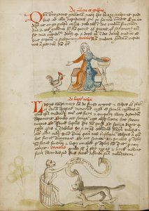 Eine Frau mit einem Gefäß und einer Henne; Ein Affe unterrichtet einen Fuchs und einen Wolf von Unknown artist