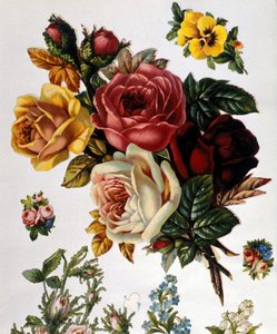 Ein Strauß Rosen. Chromolithographie aus dem 19. Jahrhundert von Unknown artist