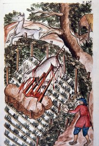 Ein Hirsch fällt in die Falle der Jäger, aus dem Buch "Trujillo del Peru" oder "Códice Martínez Compañón", von Baltazar Martinez Compañón y Bujanda, Bischof von Trujillo (1782-1785) von Unknown artist