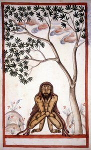 Ein Fakir. Seite aus dem Manuskript (ms.8300) „Geschichte der Mogul“ (Moghul oder Moghol) von Stefano Nivibus Cardeira. 18. Jahrhundert. Biblioteca Marciana, Venedig von Unknown artist