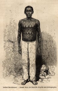 Ein Indianer Mondurucu (oder Mundurucu), Stamm des Staates Para, in der Region des Flusses Tapajos von Unknown artist