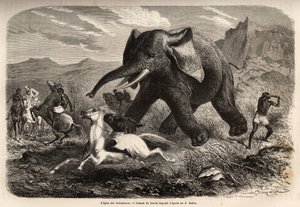 Ein Elefant beendet die Truppe, die ihn verfolgte, und greift die Jäger zu Pferd an, während einer der Jäger seinen Arm hebt, um ihn zu stoppen und mit einem Sumpf zu beenden. Gravur zur Illustration der Erforschung der abessinischen Nebenflüsse des Nils,  von Unknown artist