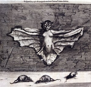 Fledermäuse und Ratten, aus „De China Monumenta“ von Athanasius Kircher von Unknown artist