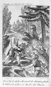Bernard de Jussieu pflanzt eine Zeder aus dem Libanon im Jardin des Plantes in Paris von Unknown artist