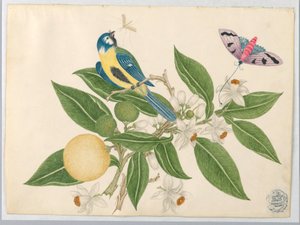 Vogel auf einem Orangenast, mit Schmetterling von Unknown artist