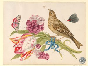 Vogel mit Tulpe, Nelke, Schmetterlingen und Insekt