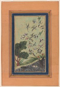 Vögel in Baran, möglicherweise aus dem Babur-nama von Unknown artist