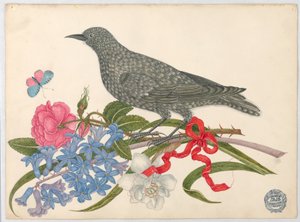 Schwarzer Vogel mit Blüten, Schmetterling und rotem Band