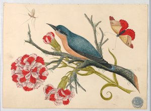 Blauer Vogel auf Zweig mit Nelken und Insekten von Unknown artist