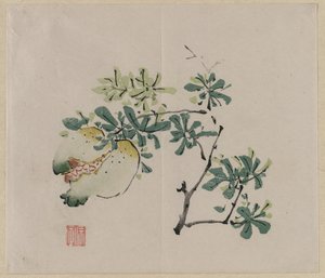 Zweig mit Granatapfel von Unknown artist