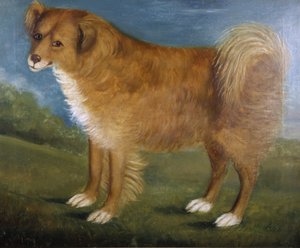Brauner Hund in einer Landschaft, ca. 1850 von Unknown artist
