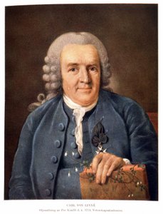 Carl von Linné, schwedischer Naturforscher und Schriftsteller