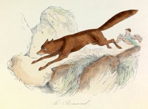 "Gesammelte Werke von Buffon" mit Linnéscher Nomenklatur und Cuviers Klassifikation: Die Tiere: Der Fuchs (Gravur) von Unknown artist