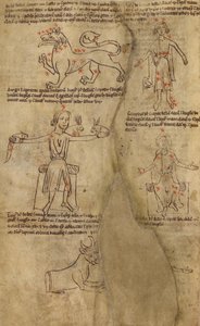 Sternbilddiagramme von Unknown artist