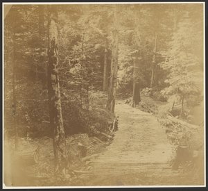 [Kordstraße auf dem Weg nach Harper