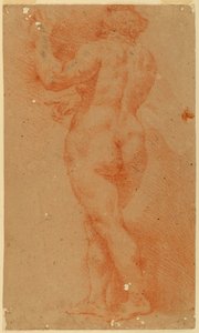 Gegenabdruckstudie einer nackten Frau von Unknown artist