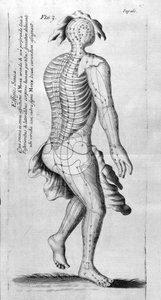 De Acupunctura von W. Ten Rhijne. London 1683. Erster westlicher Text über Akupunktur