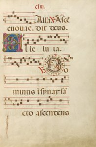 Dekorierte Initiale A; Dekorierte Initiale D