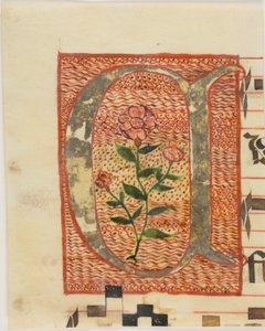 Geschmückter Initialbuchstabe "A" mit Blume aus einem Manuskript von Unknown artist