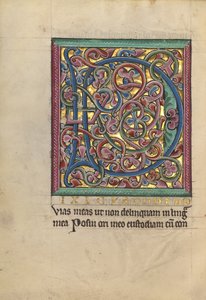 Geschmückte Initiale D