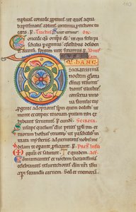 Geschmücktes Initial D