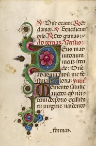 Geschmücktes Initial D; Geschmücktes Initial M