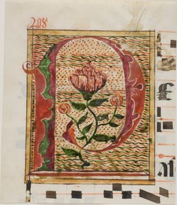 Geschmücktes Initial "P" mit Blumen aus einem Manuskript von Unknown artist