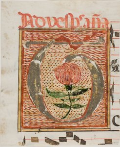 Geschmücktes Initial "T" mit Blume aus einem Manuskript von Unknown artist