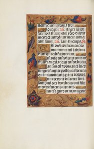 Geschmückte Textseite von Unknown artist