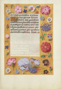 Geschmückte Textseite von Unknown artist