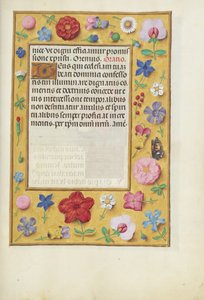Geschmückte Textseite von Unknown artist